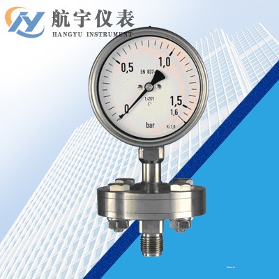法蘭式不銹鋼壓力表